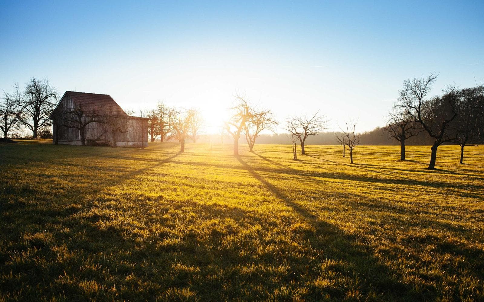 Hosting and Domains: What Actually Matters for a Small Business